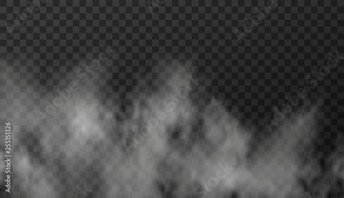 Vector illustration of white smoky clouds isolated on transparent background