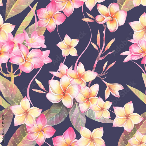 Hand painted watercolor illustration. Floral seamless pattern with exotic tropical flowers of plumeria.