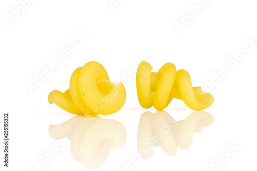 Group of two whole raw pasta funghetto variety isolated on white background