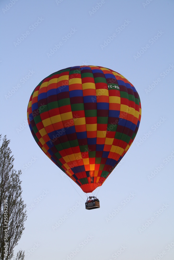 Naklejka premium Globos