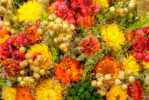 Old colorful dried flower bouquet. Floral background