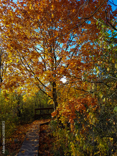 Poleski national park "spławy" trail autumn 