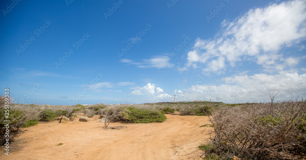 Sandy Landscape in Caribbean 