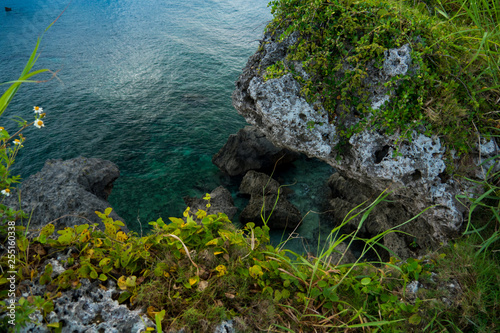 Wallpaper Mural OLYMPUS DIGITAL CAMERA Torontodigital.ca