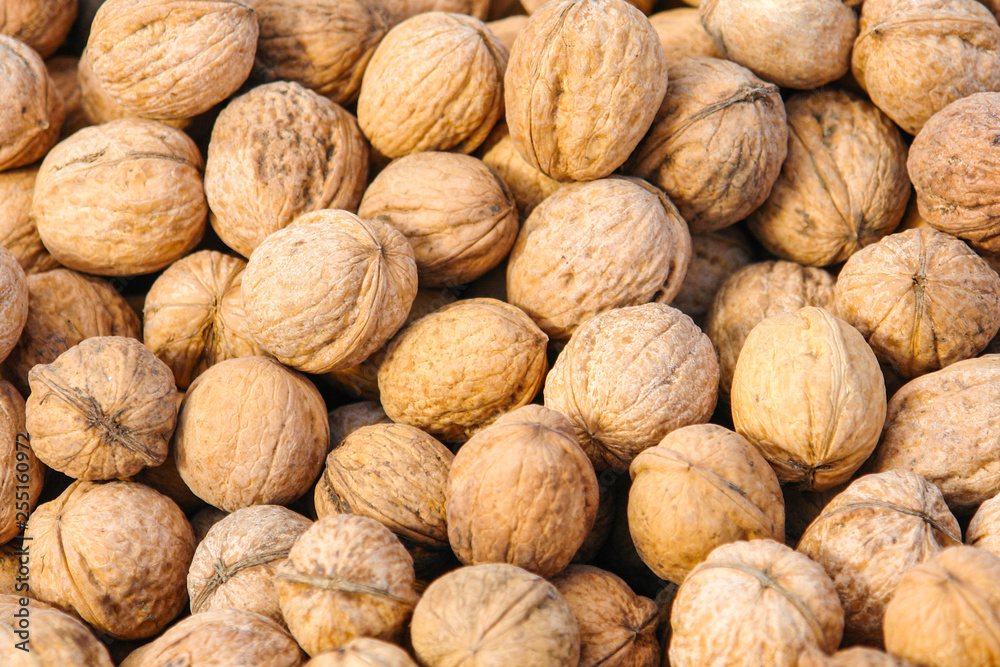 Texture of inshell walnuts Texture of inshell walnuts
