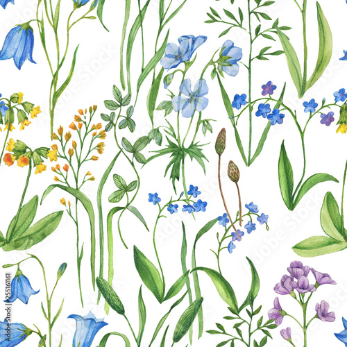 Hand-drawn watercolor seamless floral pattern with the different meadow flowers. Vibrant summer floral pattern, print for the textile and wallpapers. Field blossom - Illustration