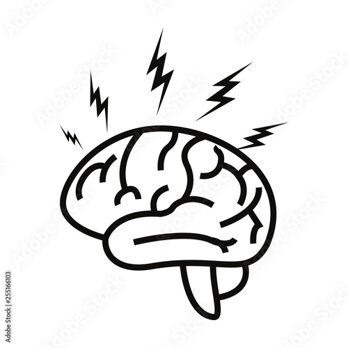 human brain organ
