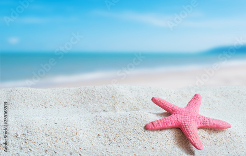 The placement of shells and sea sand backdrop. Editing pictures, where appropriate. Summer season and holidays at sea