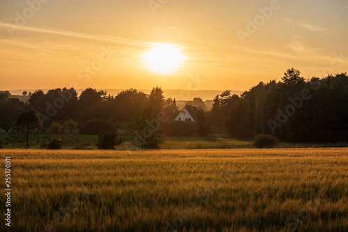 The sunset over wheat field in Germany