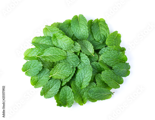 Fresh mint leaves pattern isolated on white background. top view