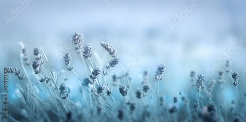 Soft blue spring floral background