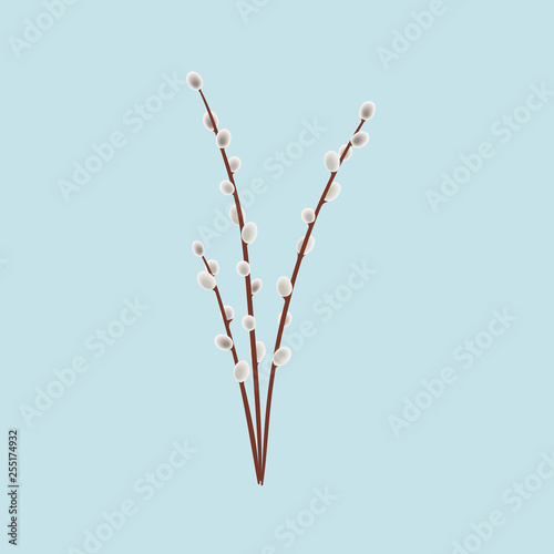 Bouquet of willow branches, springtime. Osier, palm tree, salley. Easter holiday, invitation card. Spring symbol.