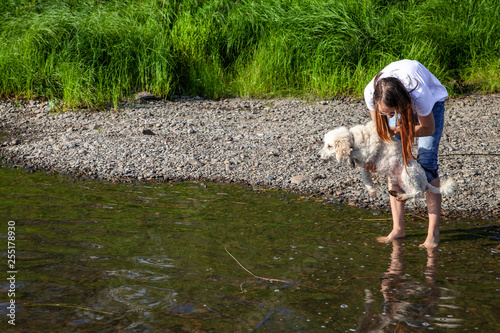 Fototapeta Naklejka Na Ścianę i Meble -  summer tourism and travel. a teenage girl in a white t-shirt with long hair holds a white poodle over the water. bathing the dog
