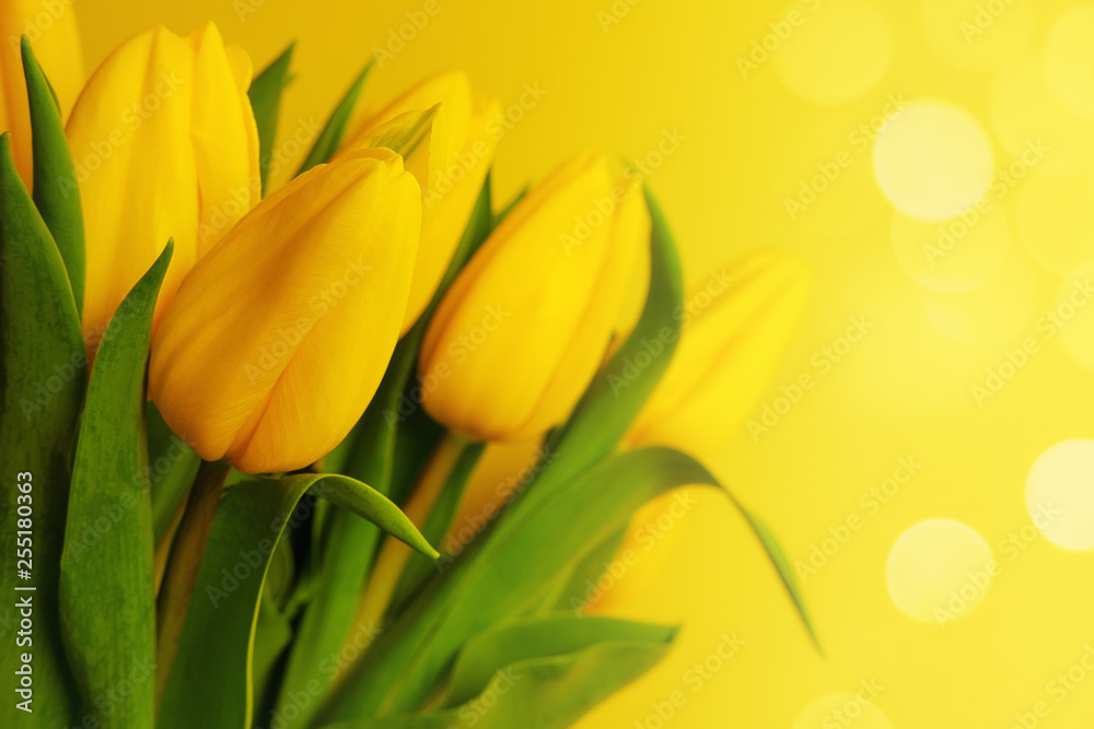 Yellow tulips bouquet on the yellow background with bokeh and copy space Yellow tulips bouquet on the yellow background with bokeh and copy space