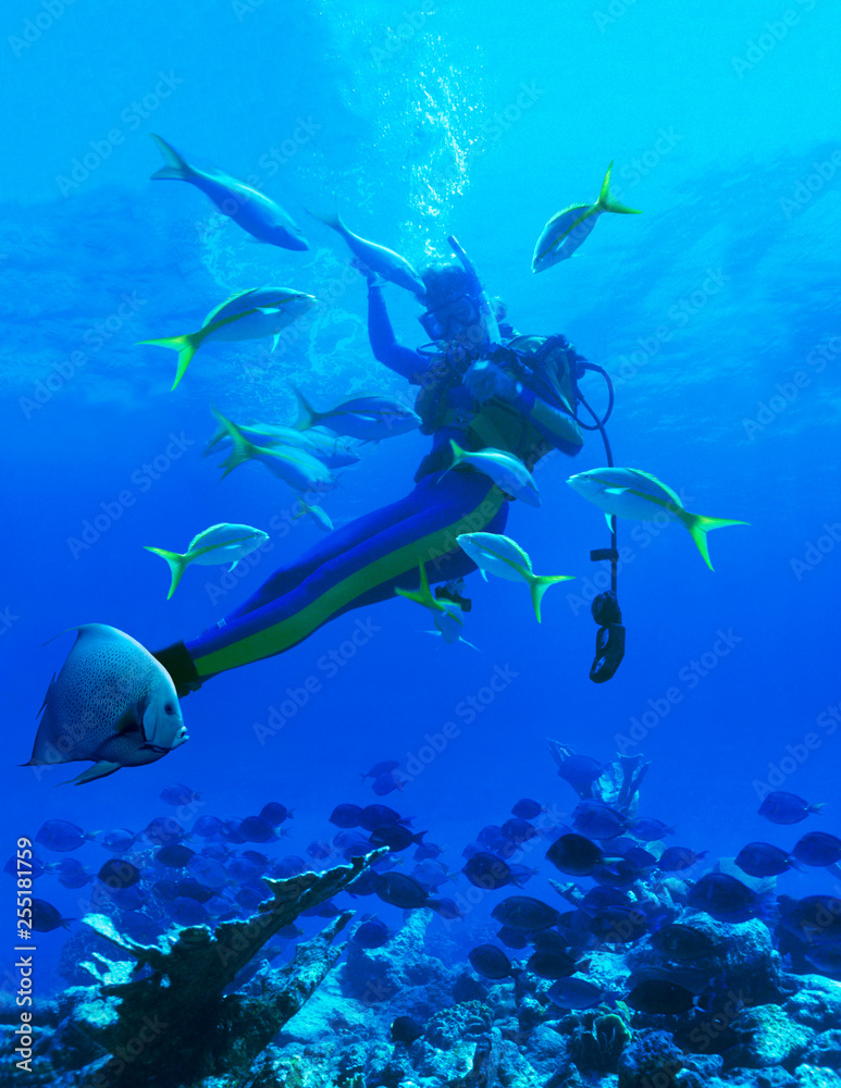 Fototapeta premium Woman SCUBA diver with Yellow Jacks and Blue Tangs