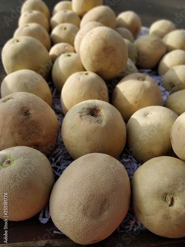 Melon fruits after harvest