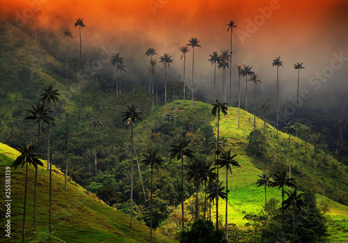 Cloudy landscape of Cocora valley, Salento, Colombia, South America photo