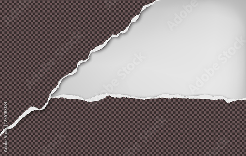 Torn squared dark brown horizontal paper strips with space for text. Vector illustration background