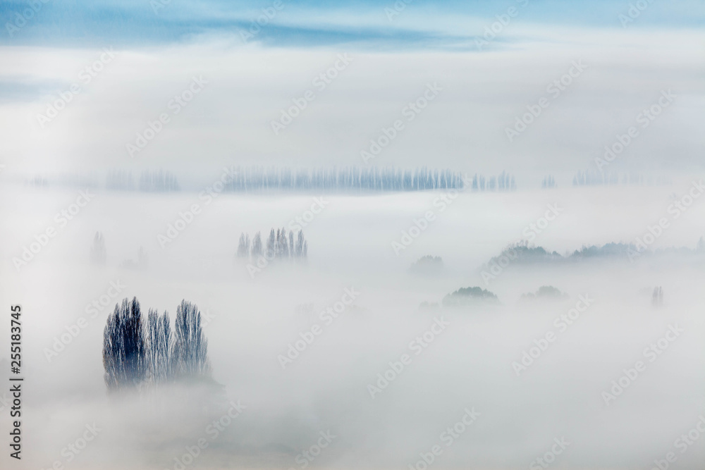 Fototapeta premium Nieblas en El Hoyo, Chubut.