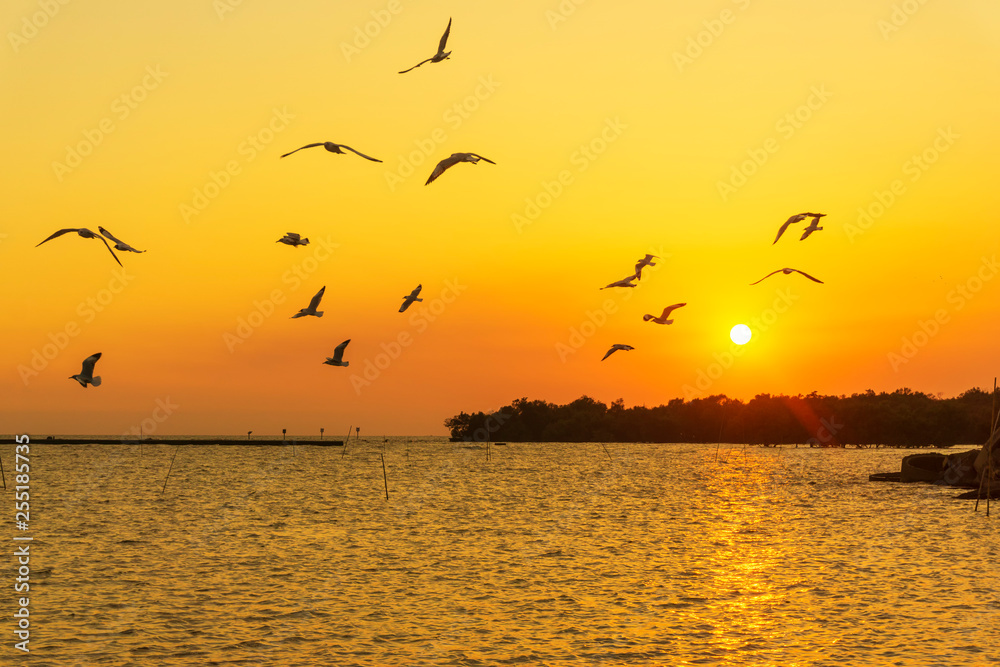 The seagulls are flying back to the nest during sunset