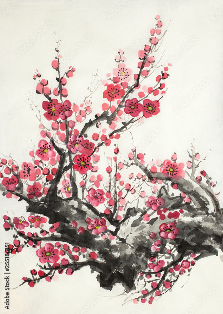 Fototapeta premium flowering branch of plum