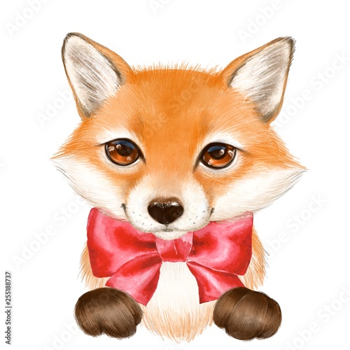 Cute cartoon fox isolated on white background