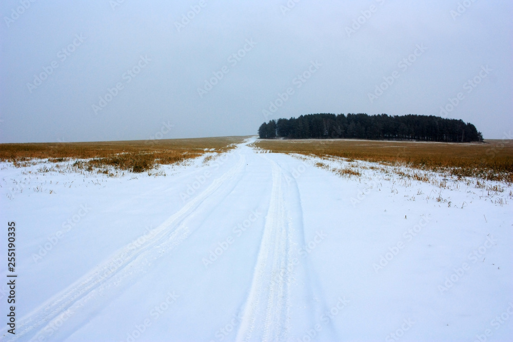 Snow-covered dirt road in the field Snow-covered dirt road in the field