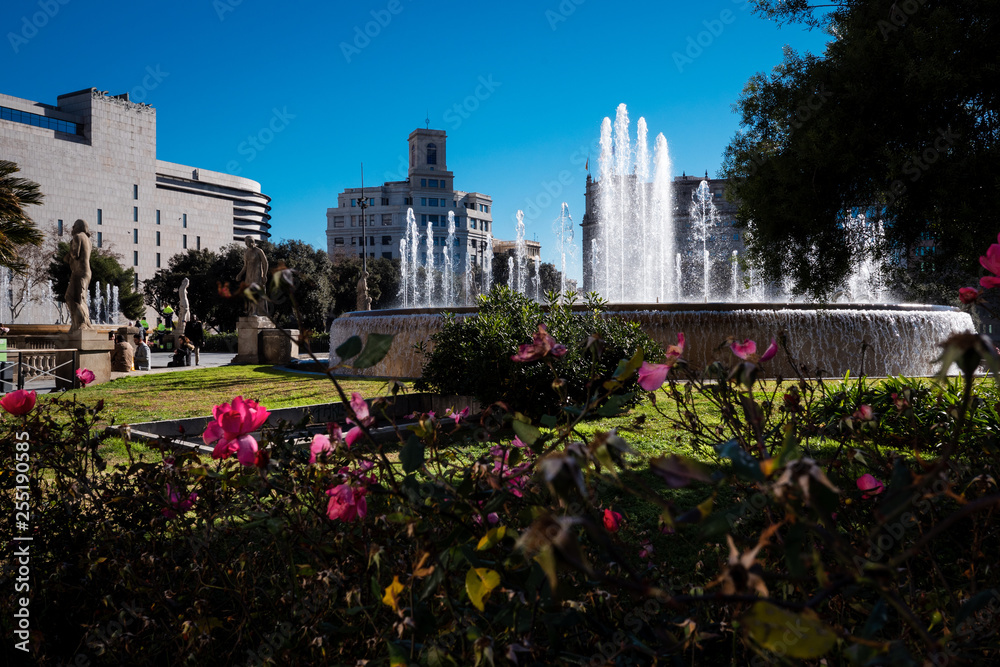 Fototapeta premium Placa de Catalunya