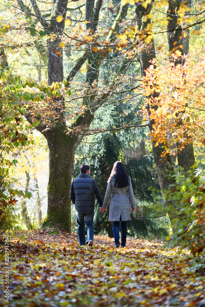 Junges Paar geht im Wald spazieren Junges Paar geht im Wald spazieren