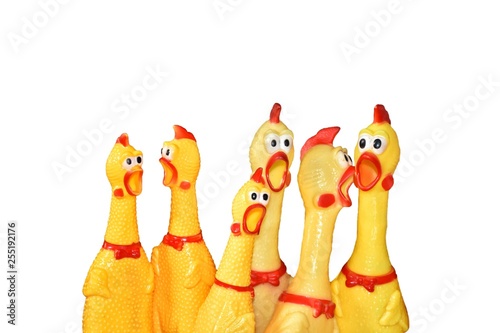 Many funny chicken toy different size on isolated background.