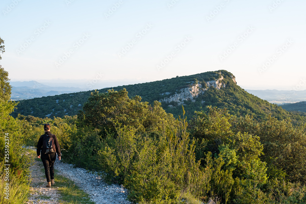Fototapeta premium Garrigue gardoise