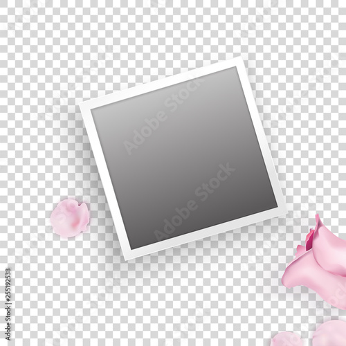 Instant photo frame with pink roses, petals on transparent background. Vector template for your trendy photo or image