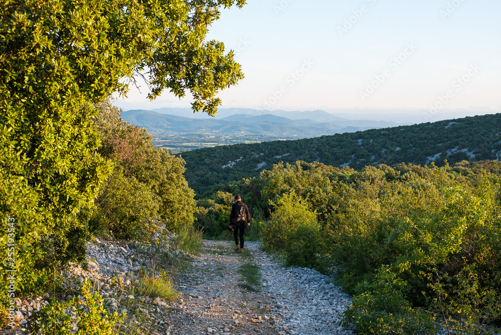 Fototapeta premium Garrigue gardoise