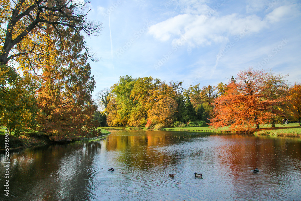 A picture from a castle park during the colorful sunny autumn afternoon.