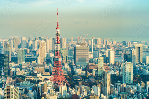 Tokyo Tower  Japan - communication and observation tower. It was the tallest artificial structure in Japan until 2010 when the new Tokyo Skytree became the tallest building of Japan.