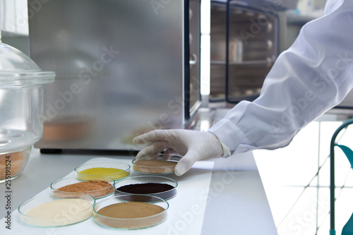 Olive extractions in a laboratory