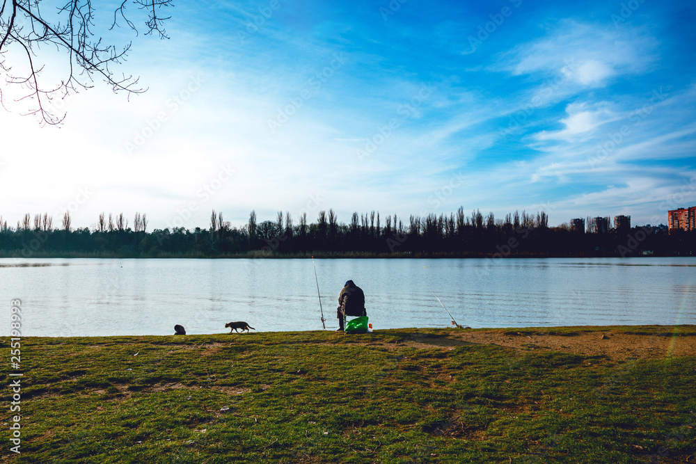 Obraz premium Fisherman with a fishing rod on the river bank. Cats. Blue sky