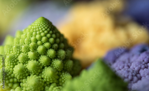 broccolo romano in primo piano 