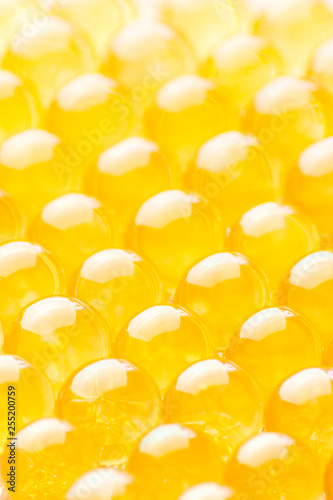 orange hydrogel balls