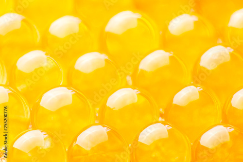 orange hydrogel balls