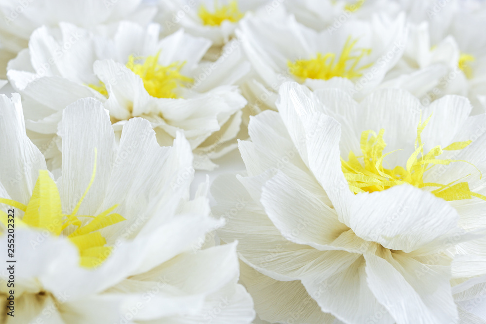 Obraz premium white paper flowers selective focus close view