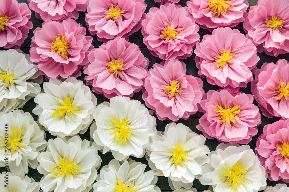 white and pink paper flowers background diagonal color composition