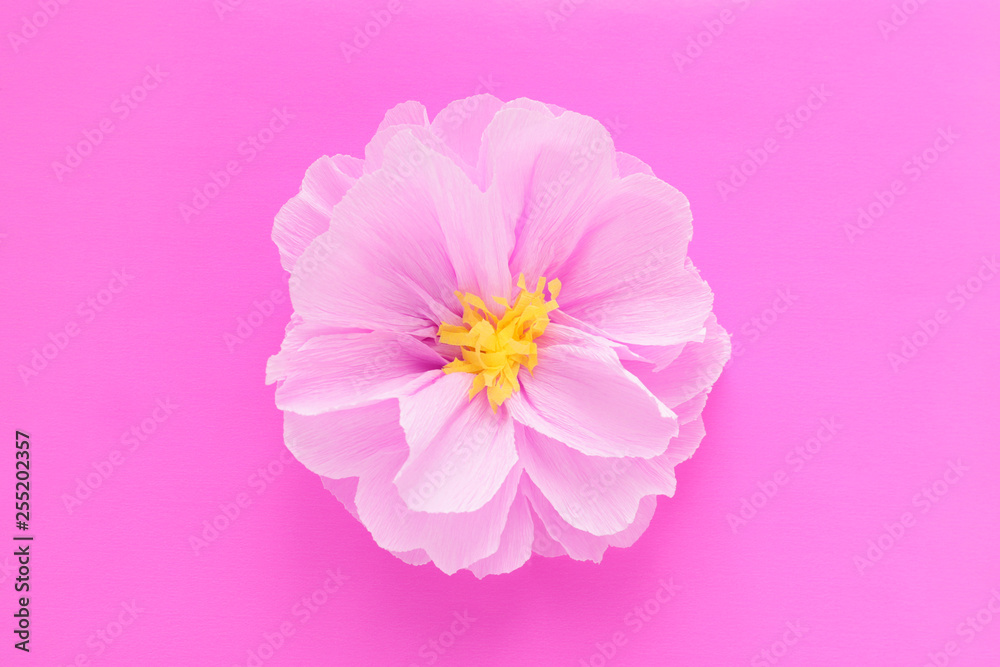 paper flower on pink background top view minimalism concept