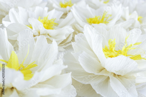 white paper flowers selective focus close view