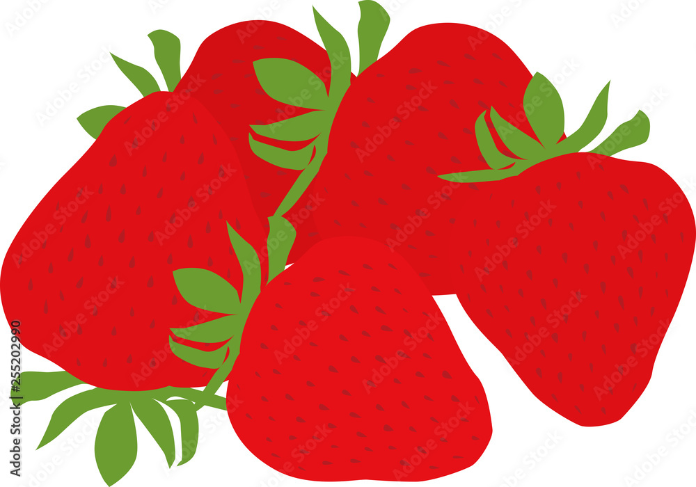 イチゴ 果物 フルーツ イラスト ベクター いちご ビタミンc 栄養 甘い デザート 食材 白バック フレッシュ ビタミン 苺 赤 食べ物 Stock 벡터 Adobe Stock