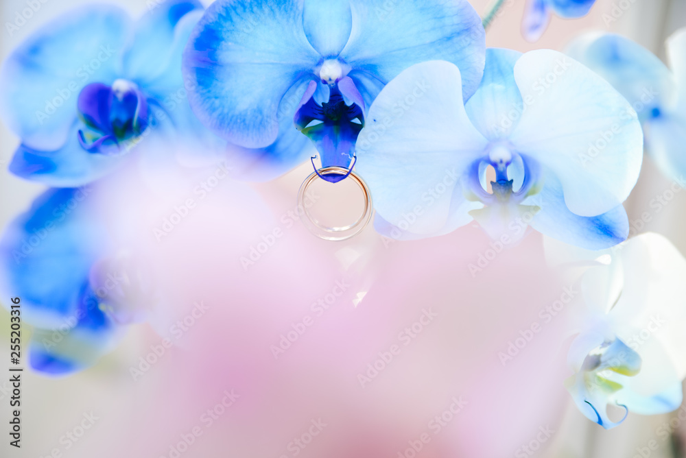 Fototapeta premium wedding rings lie on the blue Orchid, selective focus