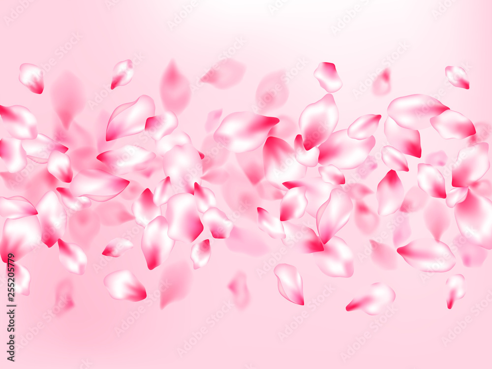 Spring blossom isolated petals flying Spring blossom isolated petals flying