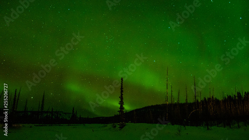 Northern lights in Canada
