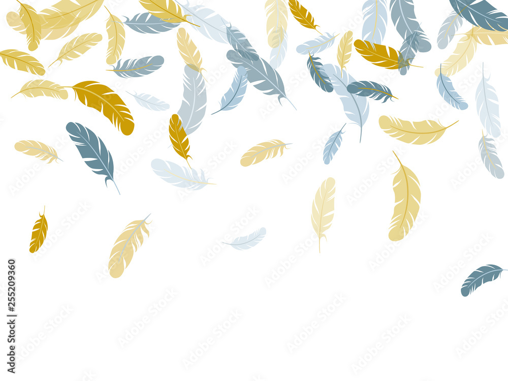 Flying feather elements airy vector design.