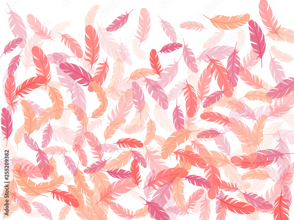 Fototapeta premium Falling feather elements soft vector design.